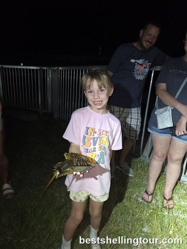 A smiling boy holding a small horseshoe crab at night