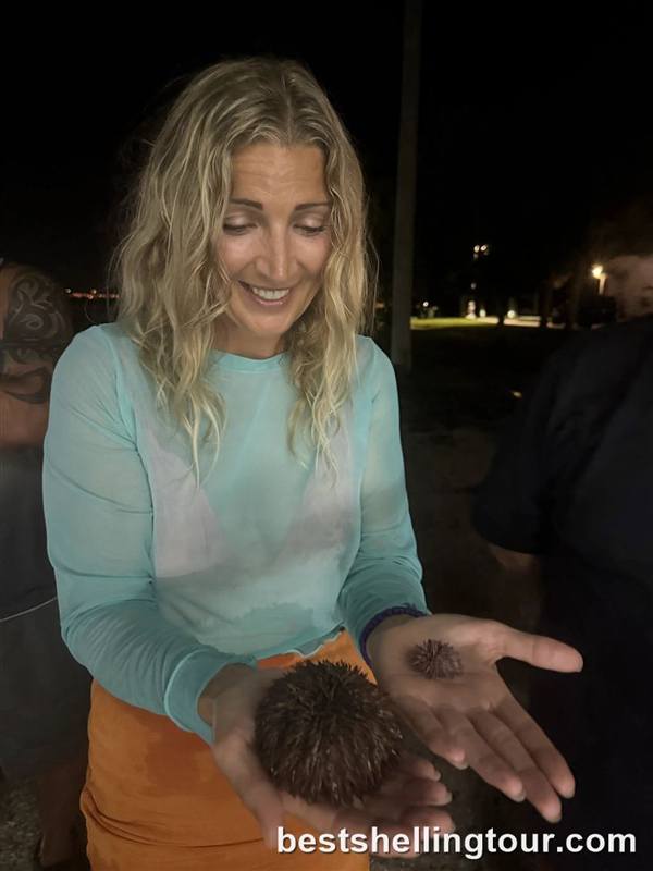 A woman holding a sea urchin in her open hands at night