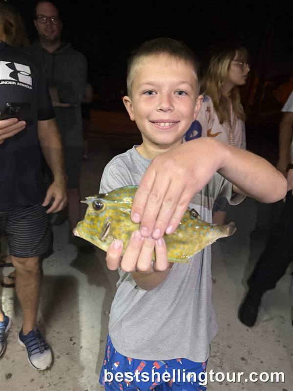 A smiling boy holding a fish he found on a night shelling tour