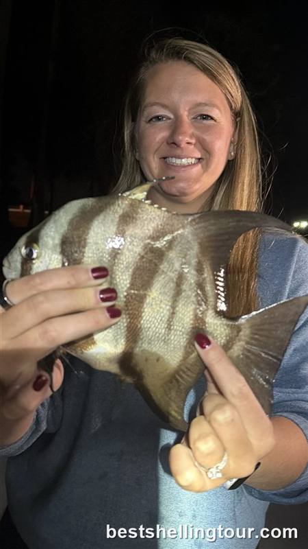 A woman holding a striped fish she found on a night shelling tour