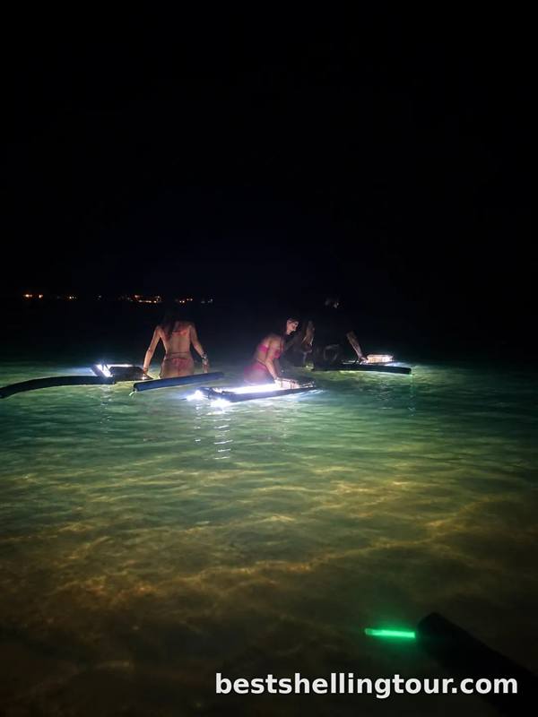A child holding a glowing light while looking for shells at night