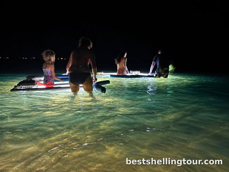 A family of several ages wading together in shallow glowing water at night