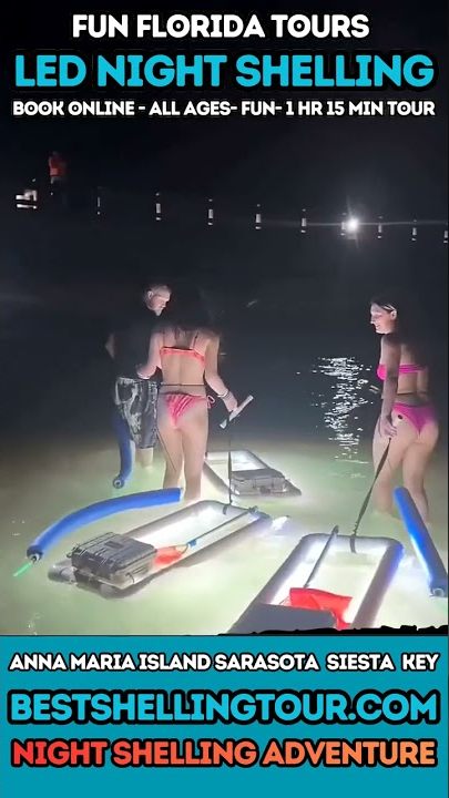 Video: What to expect on a night shelling tour in Florida