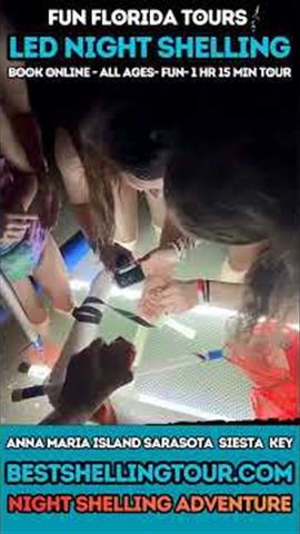 Video: Shelling at night in Florida: shells, seahorses and crabs by LED light