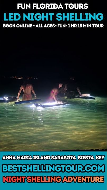 Video: Siesta Key night shelling tour