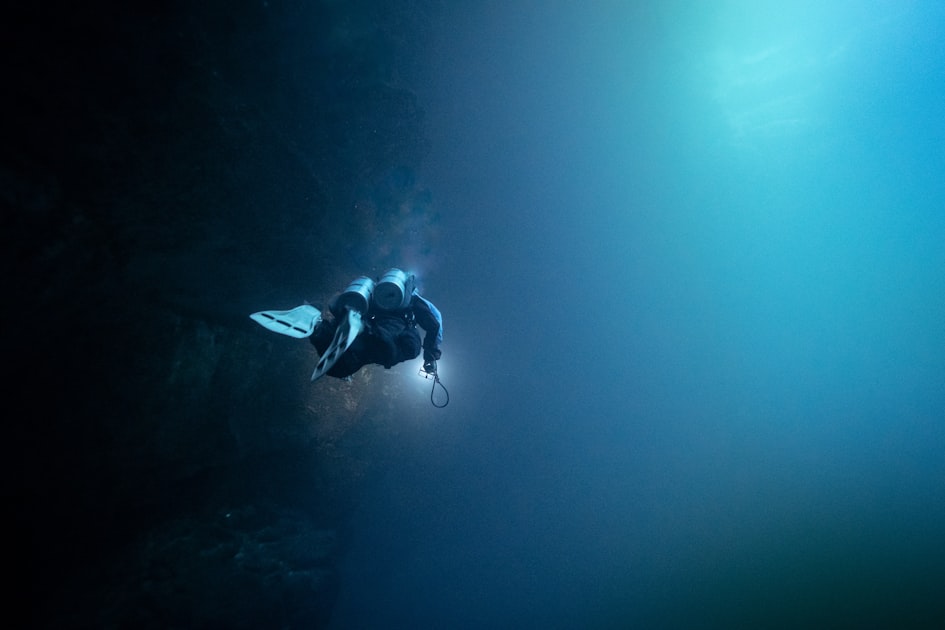 The Best Time for Marine Life Viewing